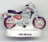 Cliquez ici pour voir l'image (moto feve06.jpg)